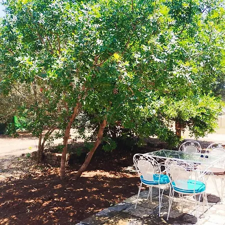 Ithaki Holidays דירה